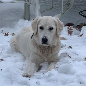 Meet your Posher, Deborah